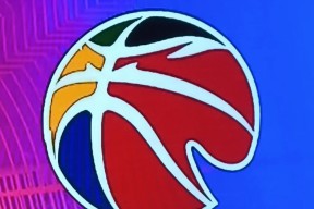 爱游戏中国官网-转折点华盛顿奇才再遭质疑，CBA季后赛集结日攻防权衡，压力陡增，赛季目标并未改变的简单介绍